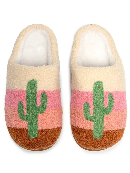 Cactus in a Desert Slippers