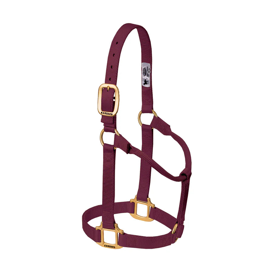 Weaver Original Non-Adjustable Halter, 1"