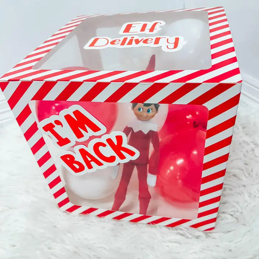 Elf Delivery Kit