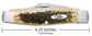 Case Peach Seed Jig Amber Bone Carbon Steel Large Stockman
