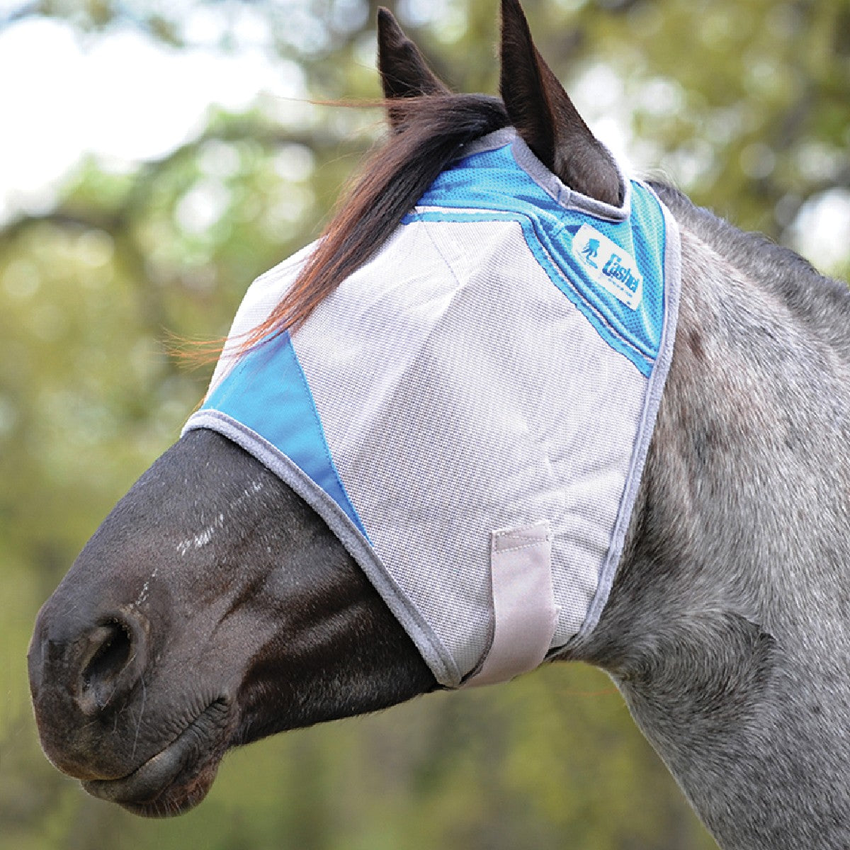 Cashel Crusader Fly Mask