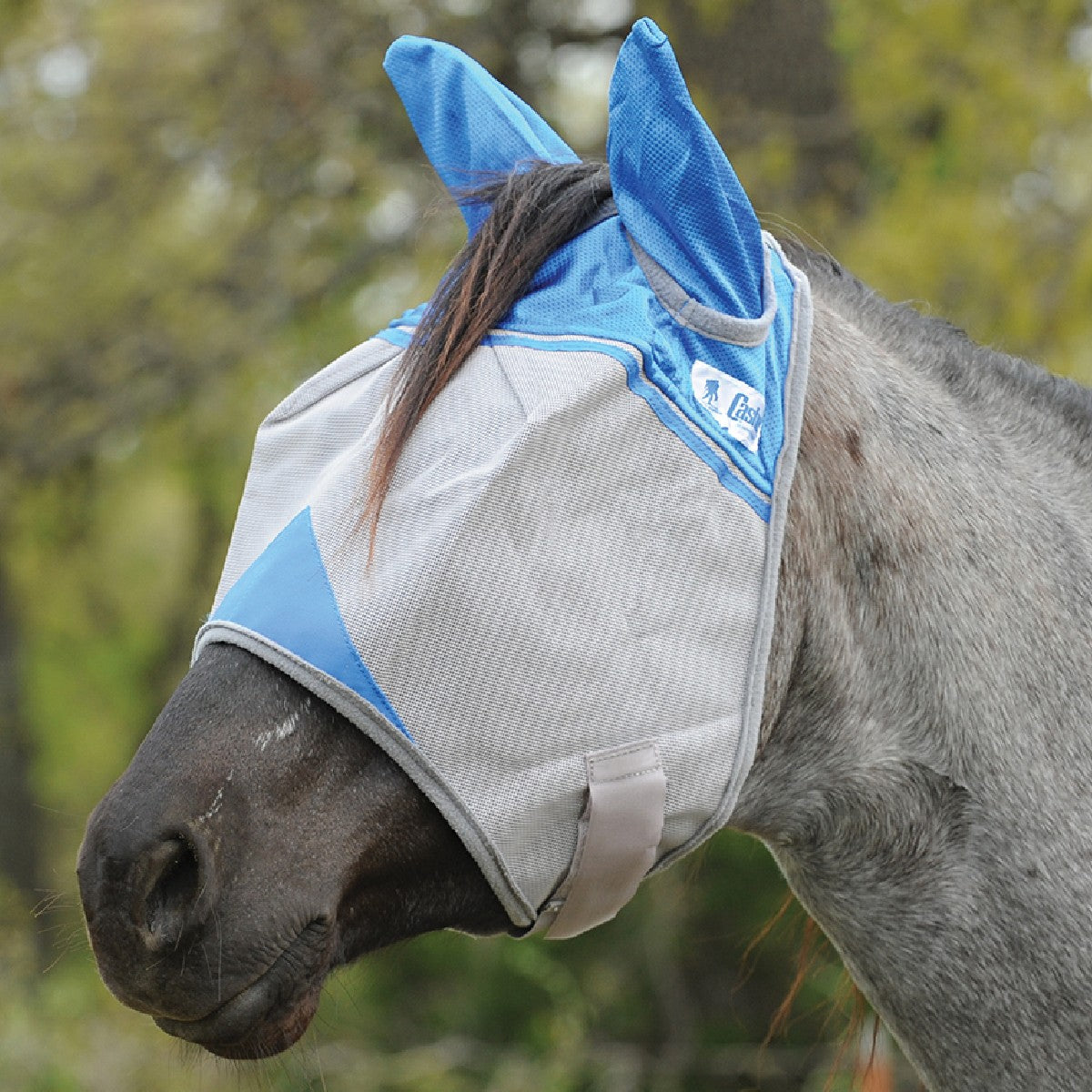 Cashel Crusader Fly Mask