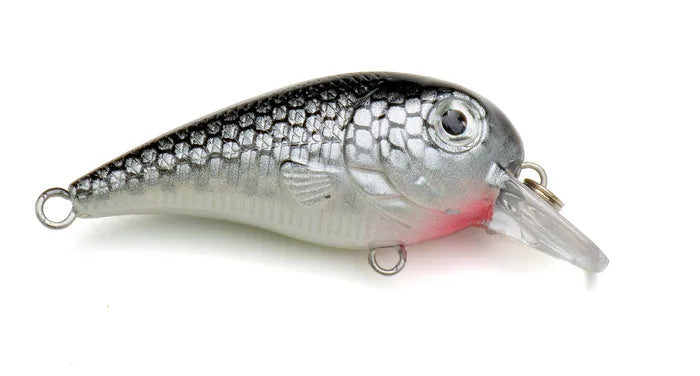 Creme Pond Favorites Shallow Crank