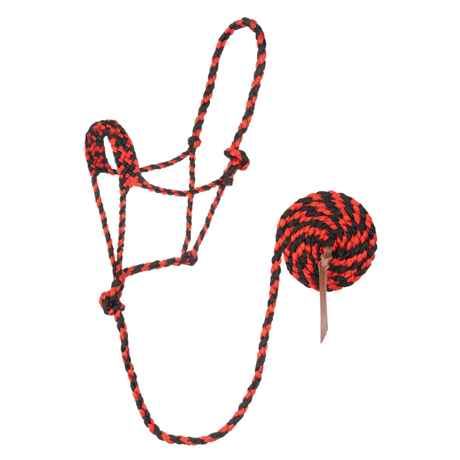 Weaver Braided Rope Halter with 10' Lead