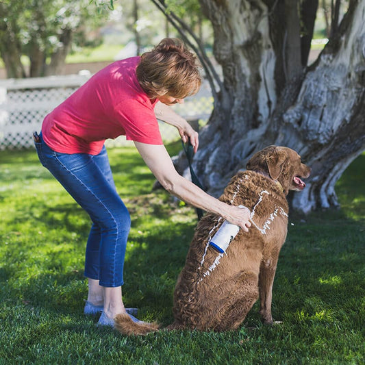 Vetericyn FoamCare Medicated Pet Shampoo