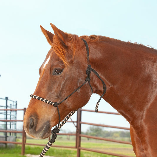 Classic Equine 2-Tone Rope Halter and Leadrope