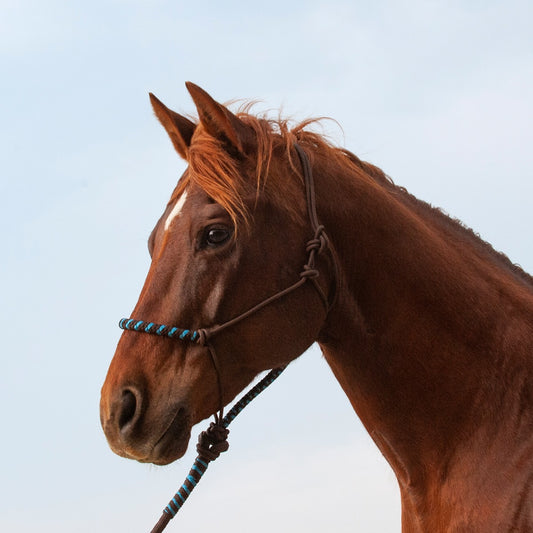 Classic Equine 2-Tone Rope Halter and Leadrope