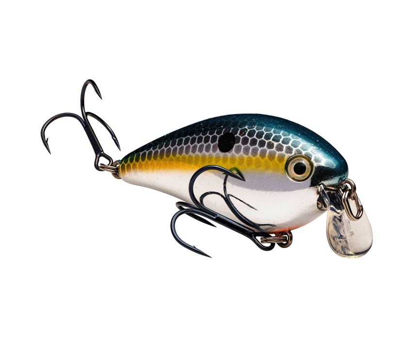 Strike King KVD Squarebill 1.5 Shallow Crankbait
