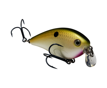Strike King KVD Squarebill 1.5 Shallow Crankbait