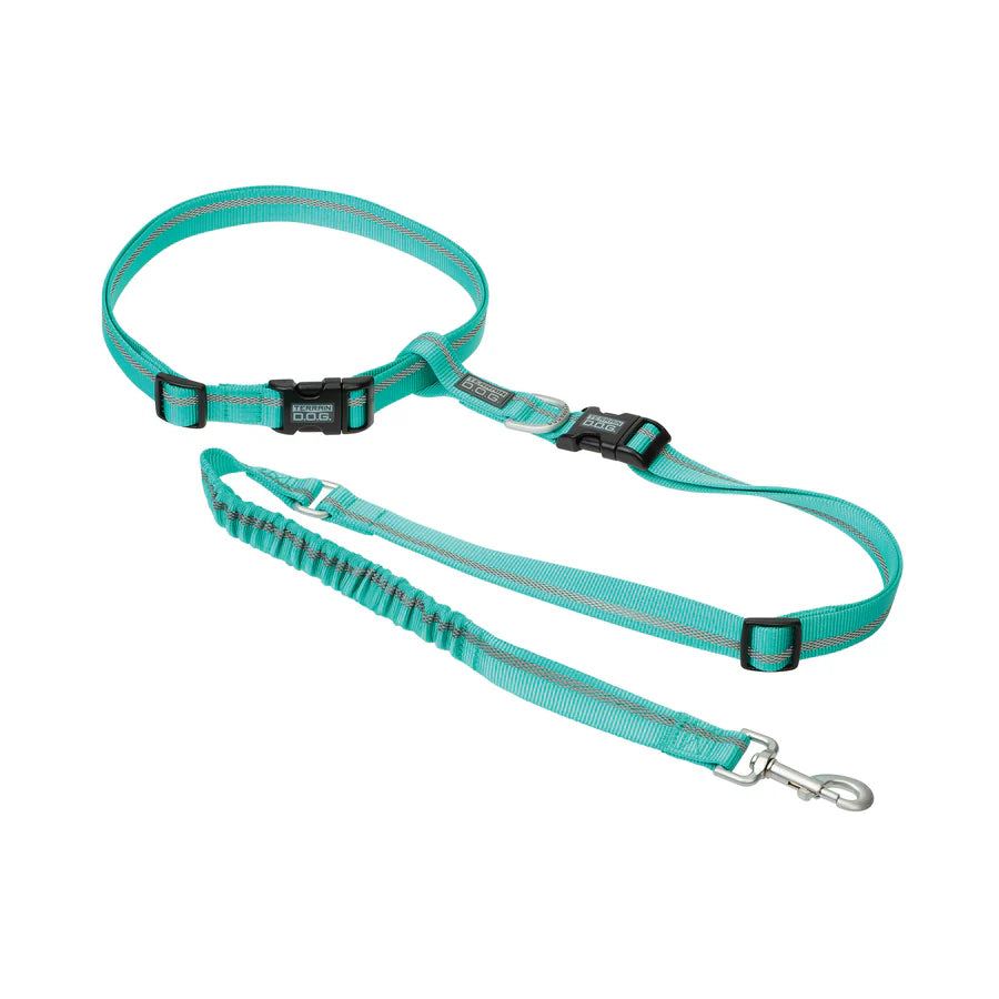 Terrain Dog Hands-Free Leash