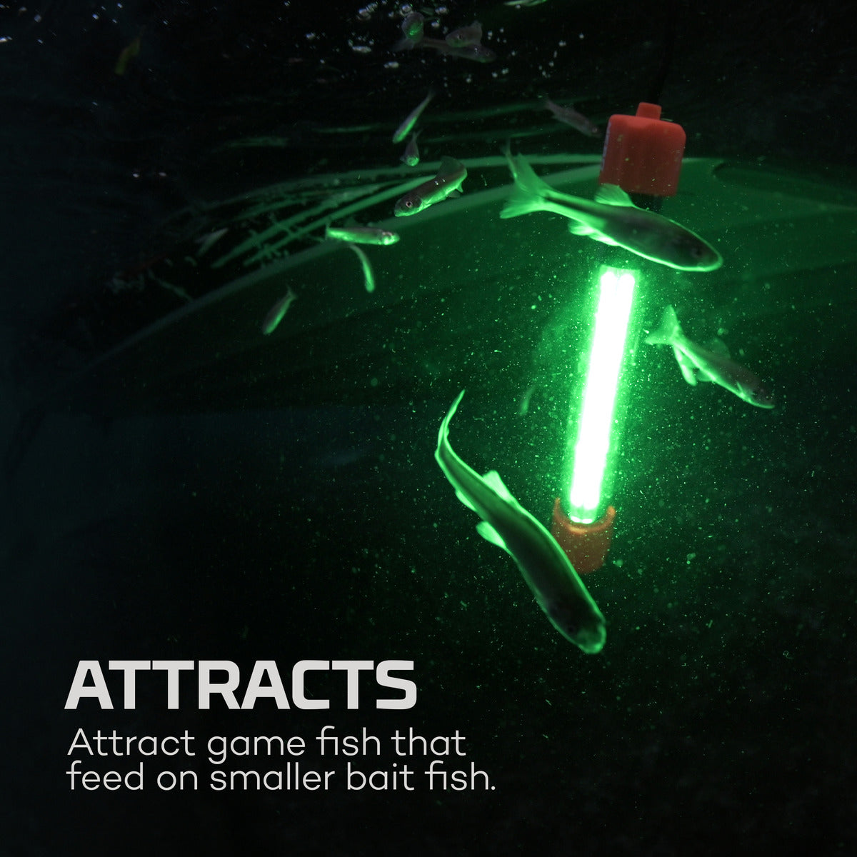 Nebo Submerser 800C Underwater Fishing and Dock Light