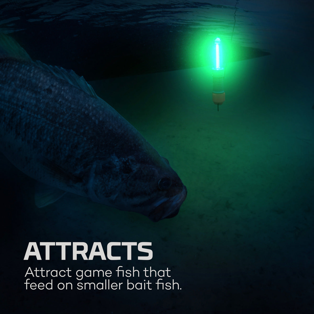 Nebo Submerser 300 Underwater Fishing and Dock Light