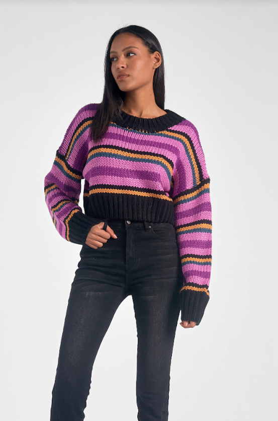 Purple Stripe Crewneck Crop Sweater XXL