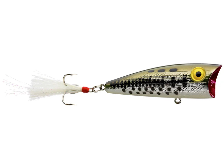 Rebel Pop-R Topwater Popper
