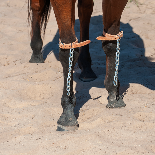 Martin Saddlery Pawing Chains