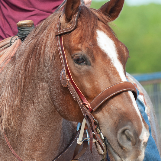 Martin Saddlery Double Rope Noseband with Chocolate Roughout Cover