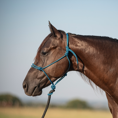 Classic Equine Rope Halter with 9-foot Leadrope