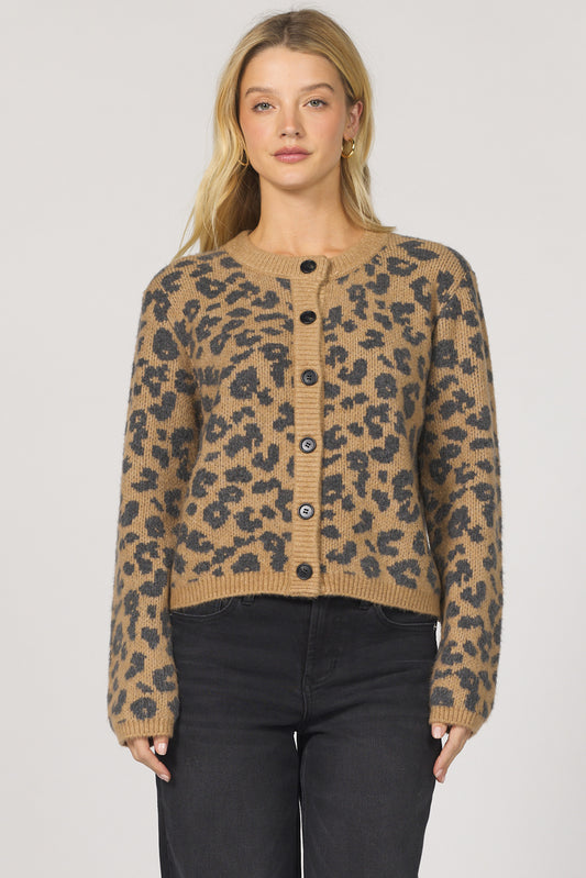 Dear John Amina Cardigan Sweater