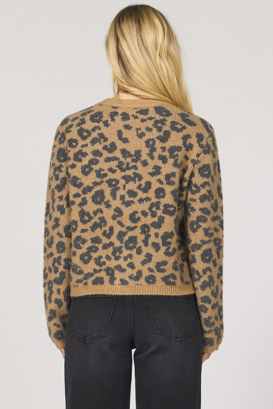 Dear John Amina Cardigan Sweater