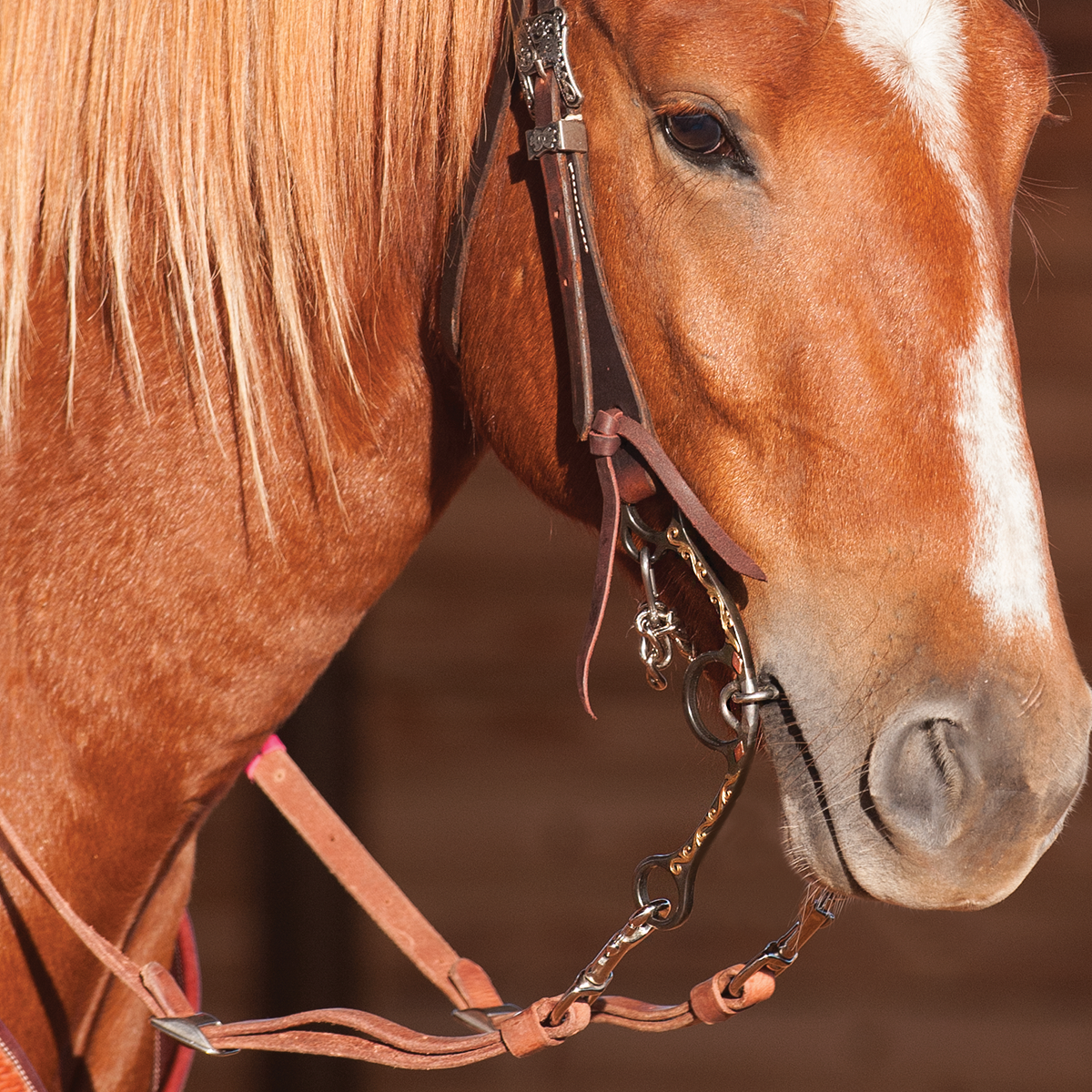 Sherry Cervi Diamond Shank Barrel Bit with Twisted Wire Dogbone