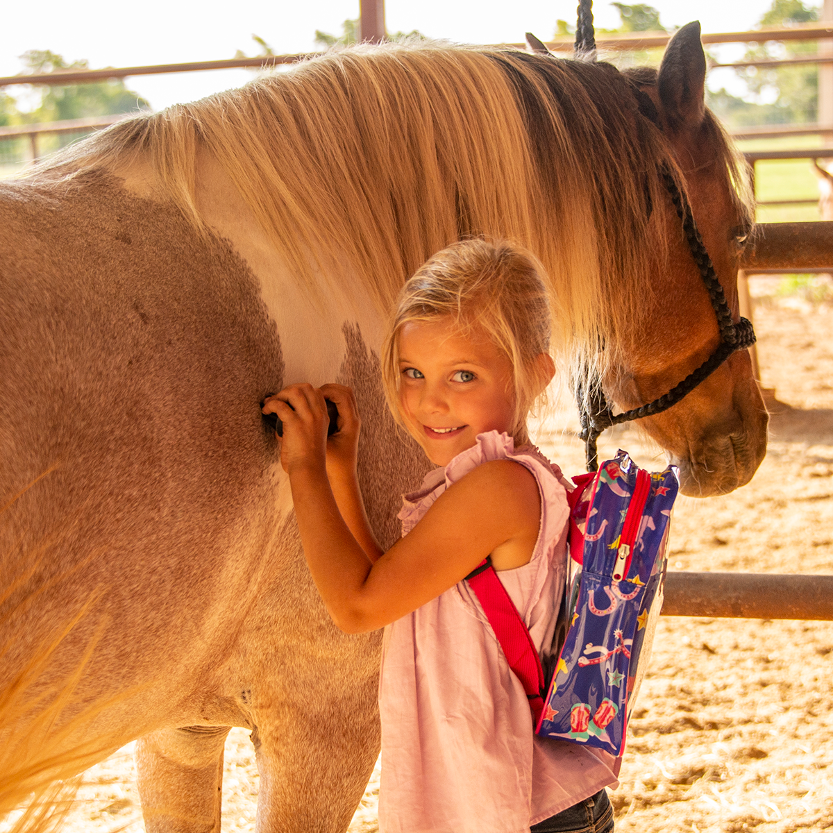 Classic Equine My First Groom Kit