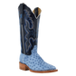 R. Watson Women’s Full Quill Ostrich Wide Square 13″ in Denim