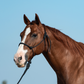 Classic Equine Rope Halter with 9-foot Leadrope