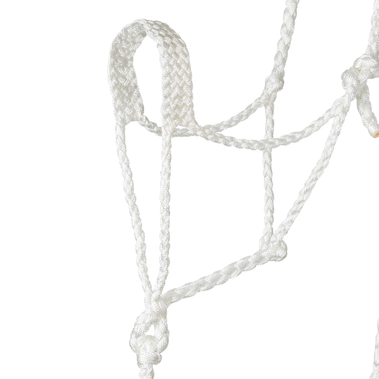 Weaver Braided Rope Halter with 10' Lead