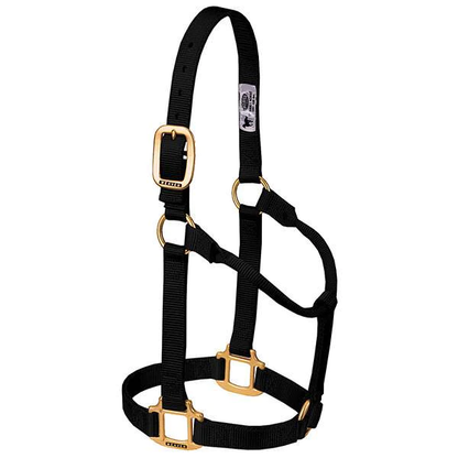 Original Non-Adjustable Halter, 3/4"