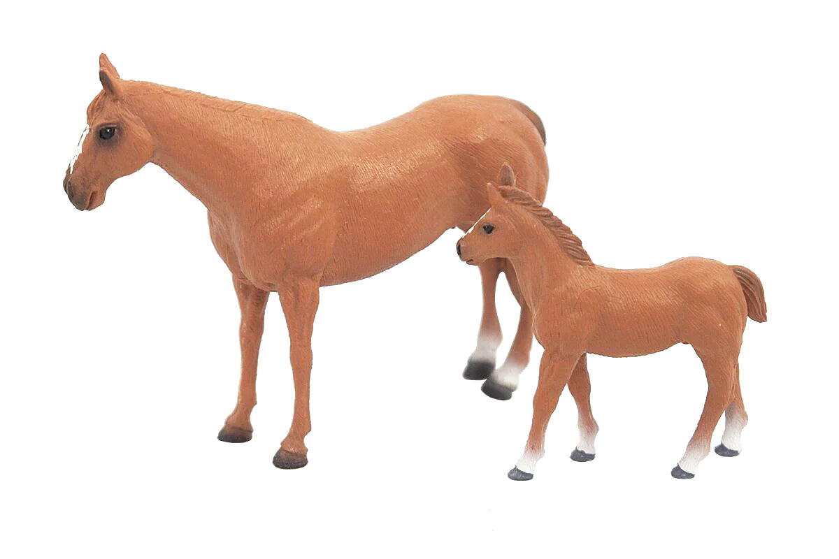 Big Country Quarter Horse Mare & Colt