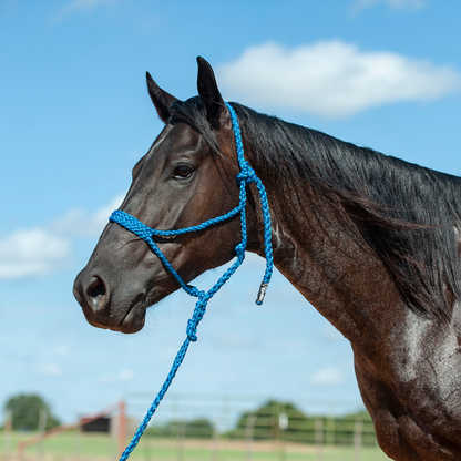 Cashel Flat Braid Halter and Leadrope