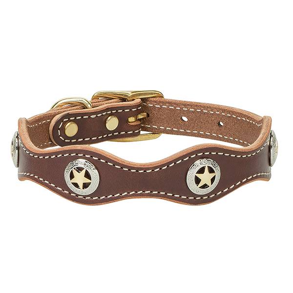 Weaver Lone Star Legend Dog Collar