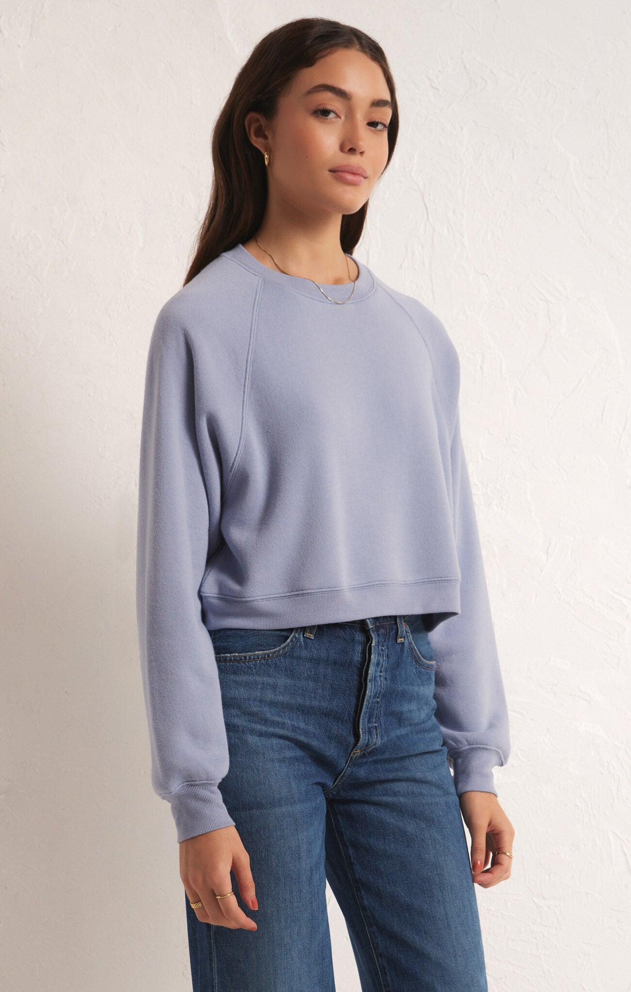 Z Supply Crop Out Stormy Sweatshirt