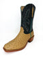 Fenoglio Antique Saddle Full Quill Ostrich Boot