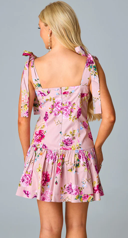 BUDDY LOVE Flirtini Drop Waist Mini Dress - Blushing