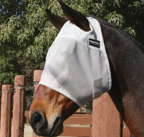 Equisential Fly Mask