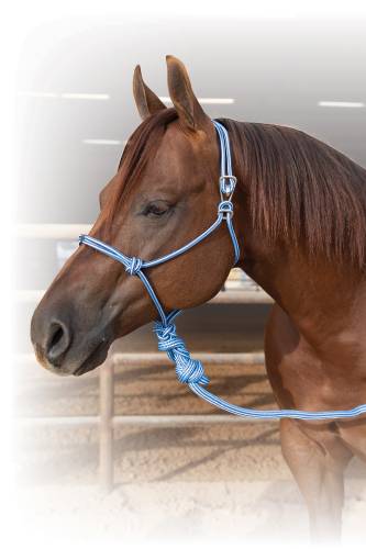 Professional's Choice Easy On Rope Halter with 10' Lead