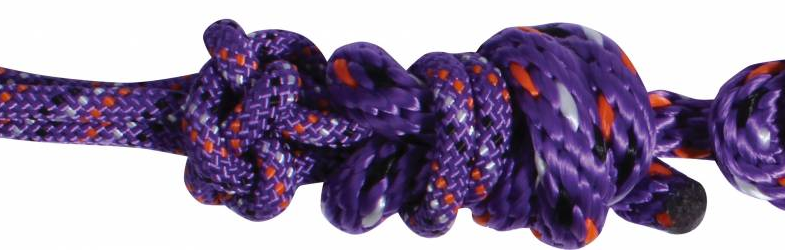 Rope Halter with 10' Lead Purple/Multi