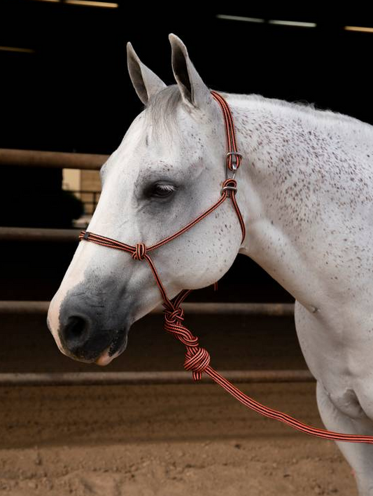 Easy On Rope Halter with 10' Lead