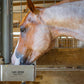 Texas Superior Automatic Animal Stainless Steel Waterer