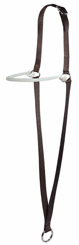 Professional's Choice Web War Bonnet with Lariat Rope